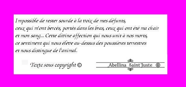 texte24